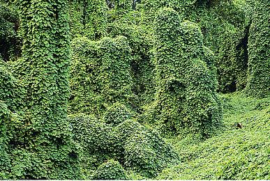 《模拟农场22》新DLC将于4月30日上线 追加大量新资材